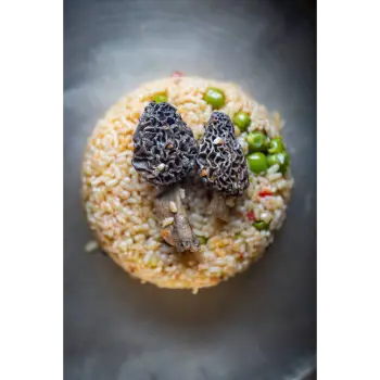 mushroom (18)-5497990-79629.webp